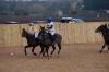 Oxford Polo 2022_12_11 0081